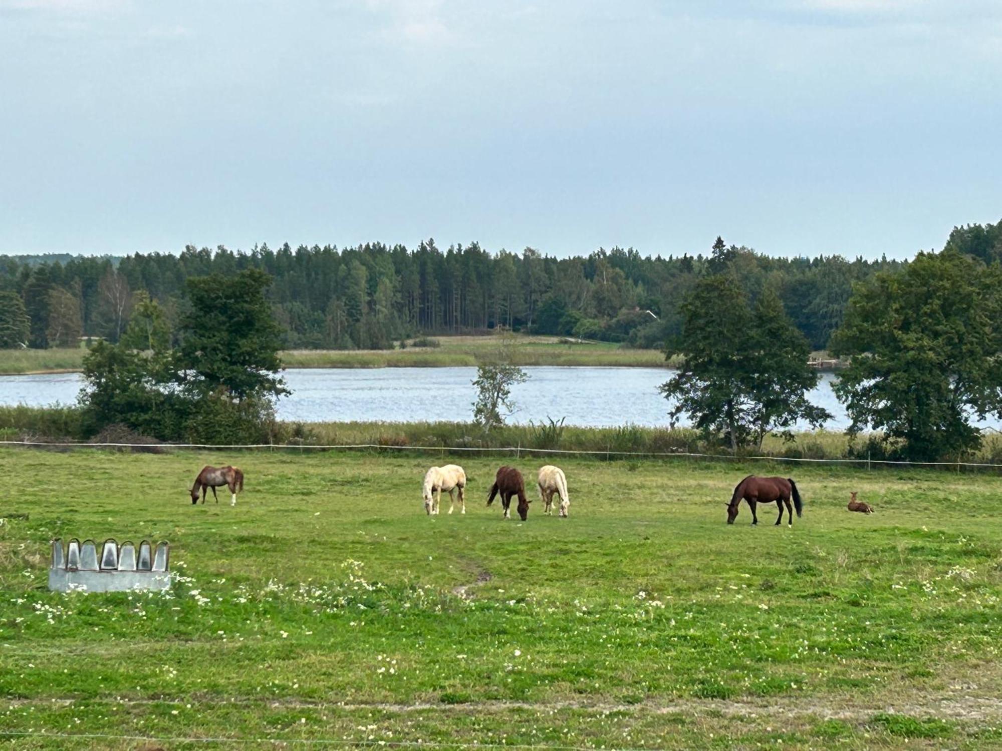 Ulvsby Ranch Western Camp Κάρλσταντ Εξωτερικό φωτογραφία