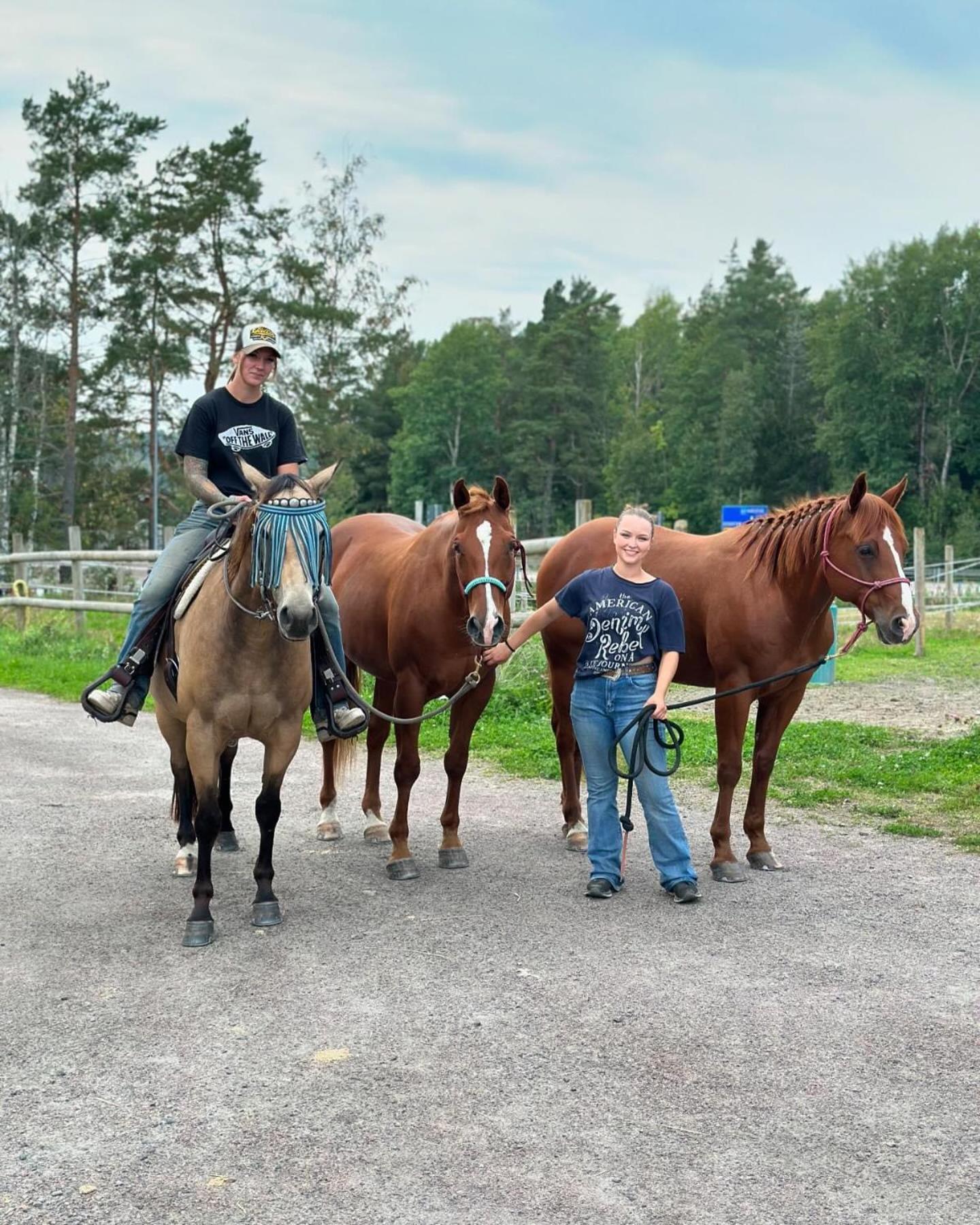 Ulvsby Ranch Western Camp Κάρλσταντ Εξωτερικό φωτογραφία